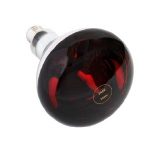 ampoule lampe chauffante