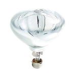ampoule lampe chauffante
